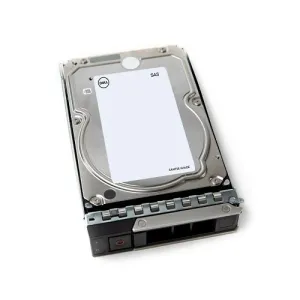 Жесткий диск Dell 20TB SAS 12Gbps 7.2K ISE 3.5in Cabled (161-BBVH / 59C9Y)